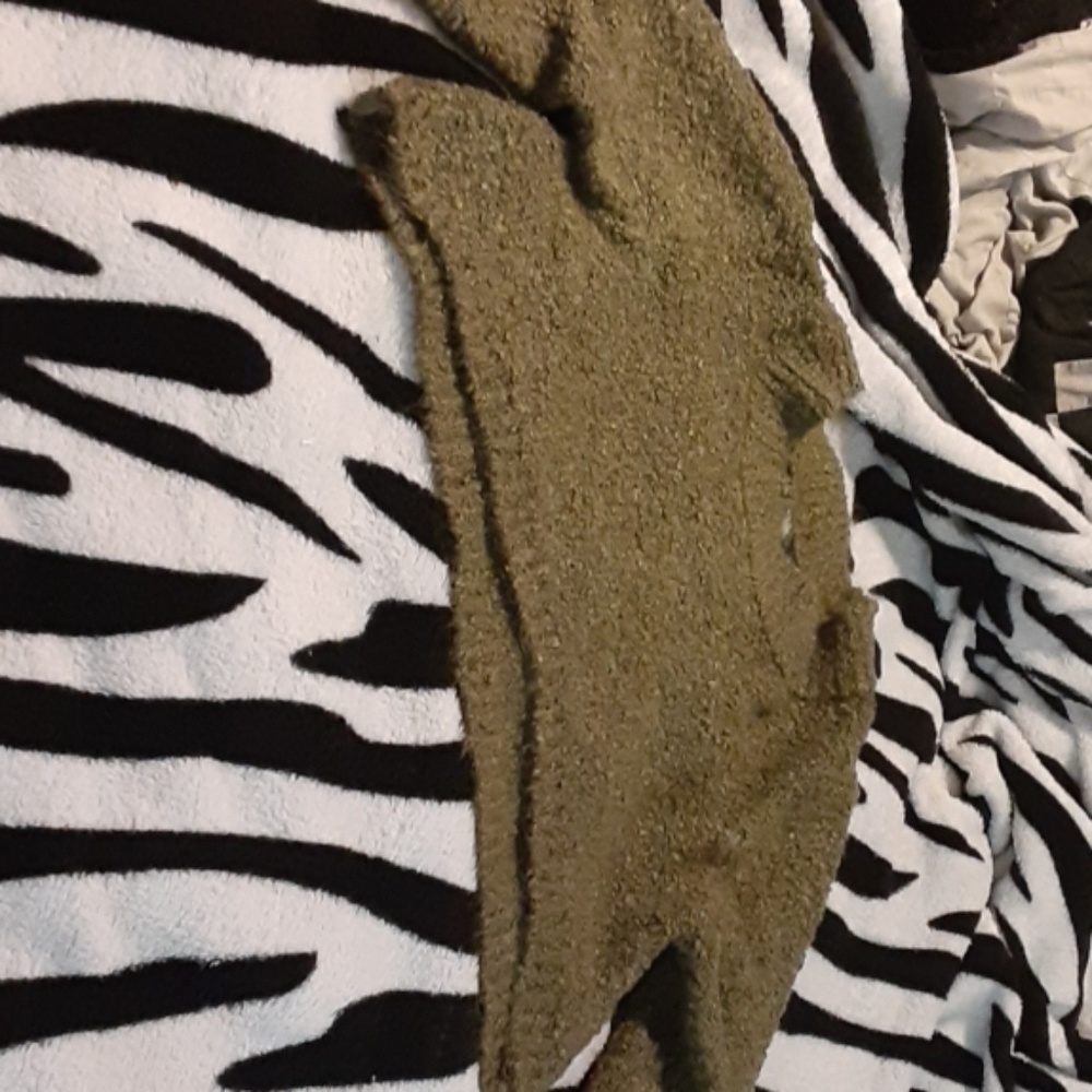 Wild fable cropped sweater